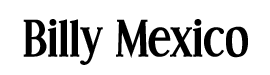 Billy Mexico Stallion - logo